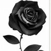 raidallas